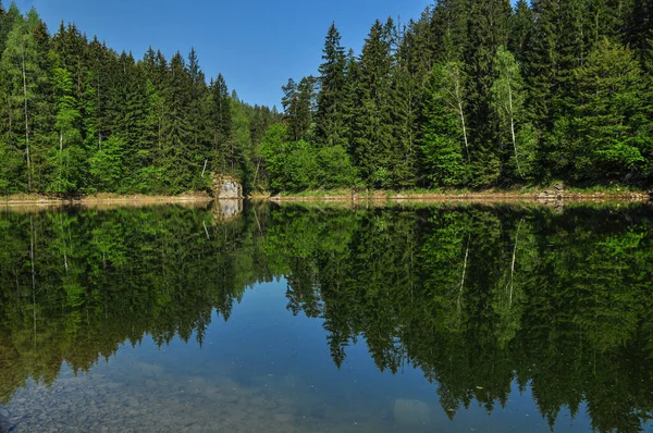 貯水池Wienerbruck 国立公園Tschergrbenのベースキャンプでイディリック湖 — ストック写真