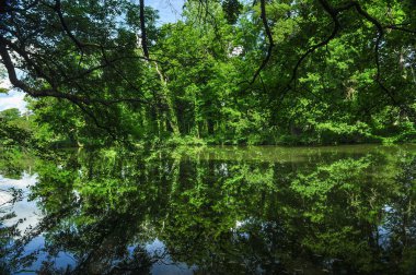 Viyana 'nın güneyindeki Royal Park Laxenburg' dan izlenimler. Habsburg Hanedanı 'nın eski yazlık evi.