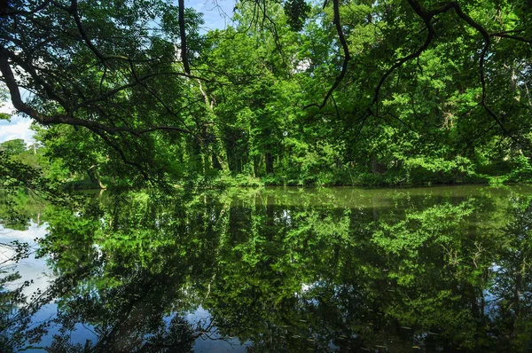 ウィーンの南にあるロイヤルパークLaxenburgからの印象 旧ハプスブルク朝の夏の邸宅 — ストック写真