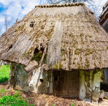 Sazlı çatı, şarap presi evi, Heiligenbrunn, Burgenland, Avusturya