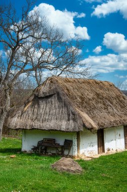 Sazlı çatı, şarap presi evi, Heiligenbrunn, Burgenland, Avusturya