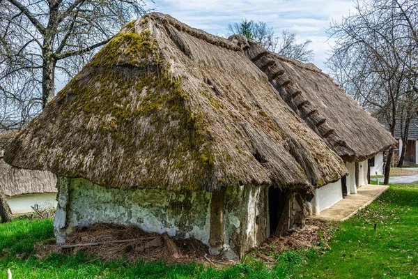 Sazlı Çatı Şarap Presi Evi Heiligenbrunn Burgenland Avusturya — Stok fotoğraf