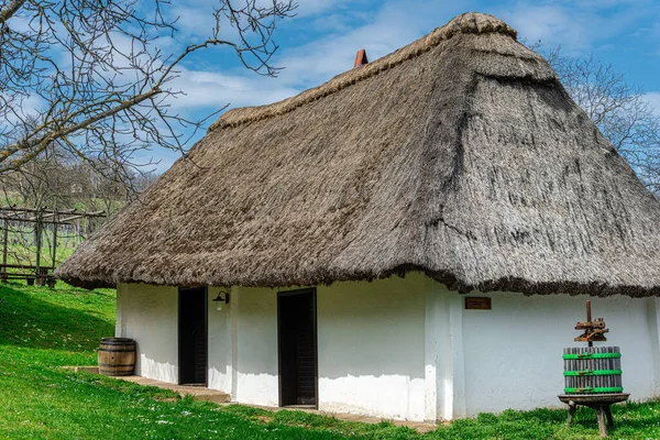 Sazlı Çatı Şarap Presi Evi Heiligenbrunn Burgenland Avusturya — Stok fotoğraf