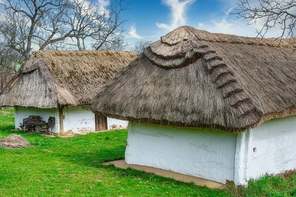 Sazlı Çatı Şarap Presi Evi Heiligenbrunn Burgenland Avusturya — Stok fotoğraf