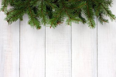 Noel arka plan köknar ağacı dalı ile