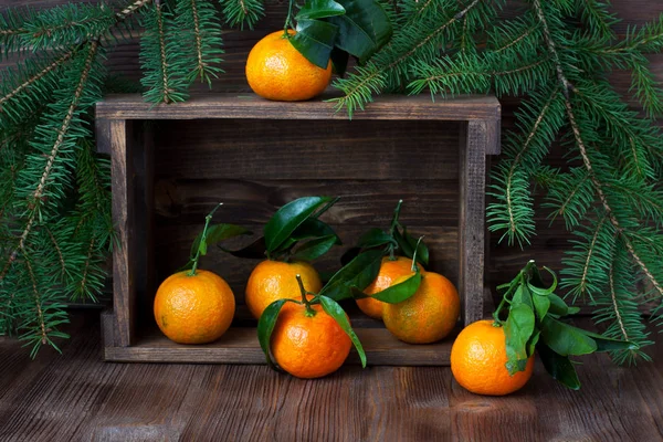 Composition with Christmas mandarines — Stock Photo, Image