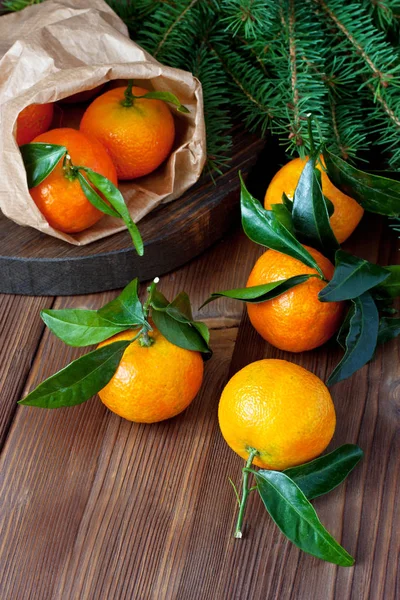 木からちょうど柑橘類。冬の果実. — ストック写真