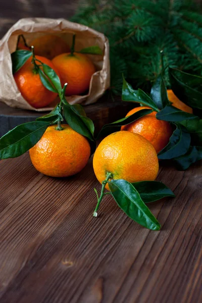 Citrus só da árvore. Frutos de inverno . — Fotografia de Stock