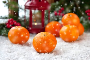Noel natürmort mandalina ile