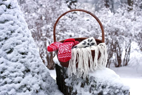 Winter composition with mittens. Christmas theme — Stock Photo, Image