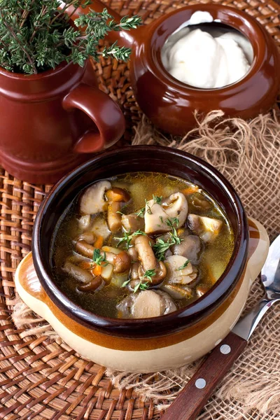 Bol en céramique de soupe aux champignons frais — Photo