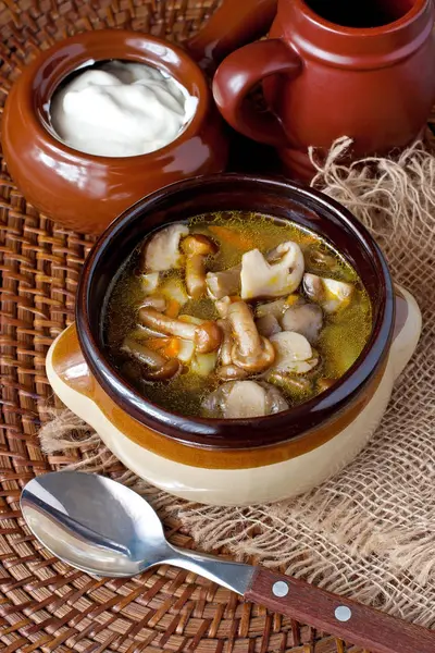 Sabrosa sopa de champiñones en tazón de cerámica —  Fotos de Stock