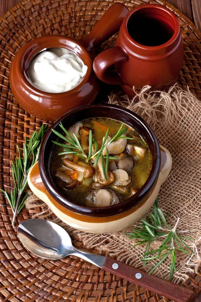 Sabrosa sopa de champiñones en tazón de cerámica —  Fotos de Stock