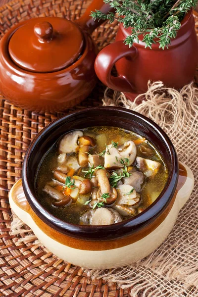 Sabrosa sopa de champiñones en tazón de cerámica —  Fotos de Stock