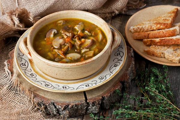 Sabrosa sopa de champiñones en tazón de cerámica —  Fotos de Stock