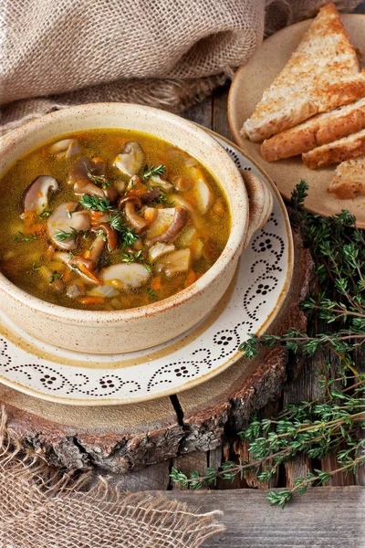 Sabrosa sopa de champiñones en tazón de cerámica —  Fotos de Stock