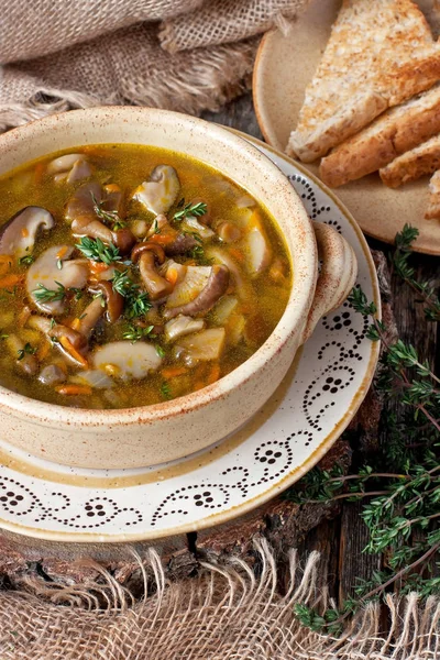 Leckere Pilzsuppe in Keramikschüssel — Stockfoto