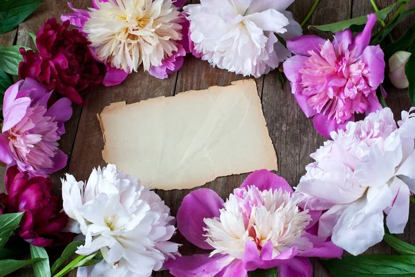 Stilleven met pioenrozen bloemen — Stockfoto