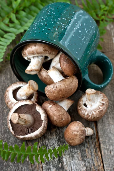 木制底座瓷杯中新鲜的全菇 — 图库照片
