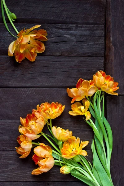 Gäng Tulip Vårblommor Internationella Kvinnodagen Dag Mors Dag Eller Födelsedag — Stockfoto