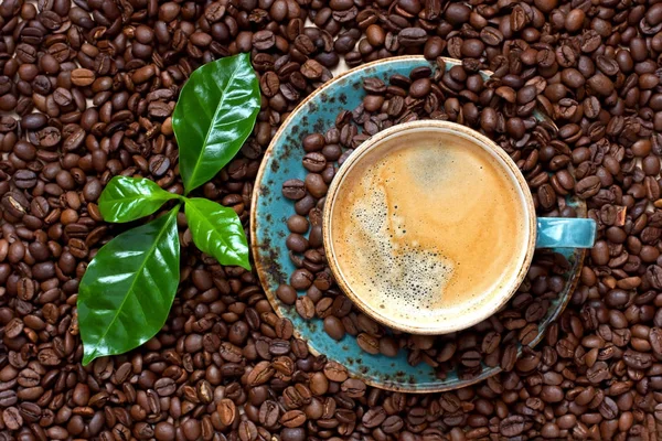 Cup of coffee with fresh coffee leaves on coffee beans background