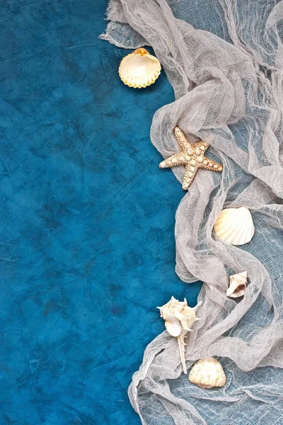 異なる貝殻やヒトデの航海の背景 — ストック写真