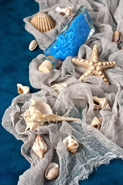 海洋の背景にネット、貝殻. — ストック写真