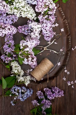 Eflatun çiçekli natürmort