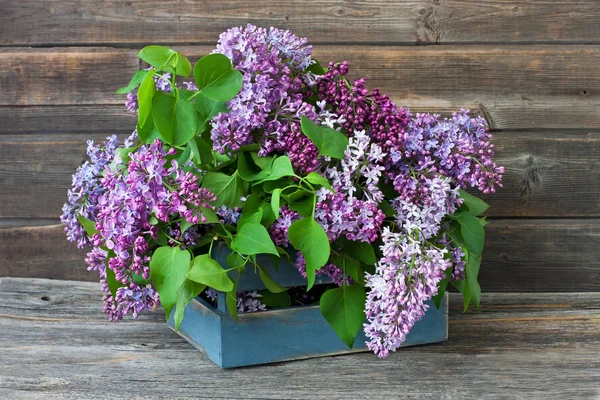 Natureza Morta Com Flores Lilás — Fotografia de Stock