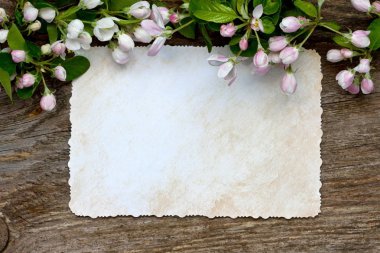 Elma çiçekleri ile romantik kompozisyon. Tebrik için arka plan