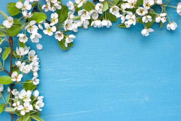 Frame with  pear   flowers on wooden background