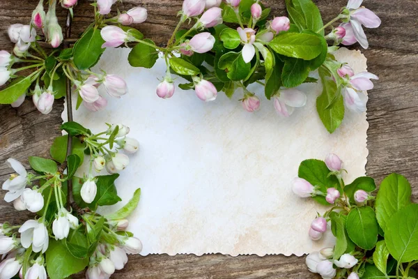 Romantische samenstelling met apple bloemen — Stockfoto