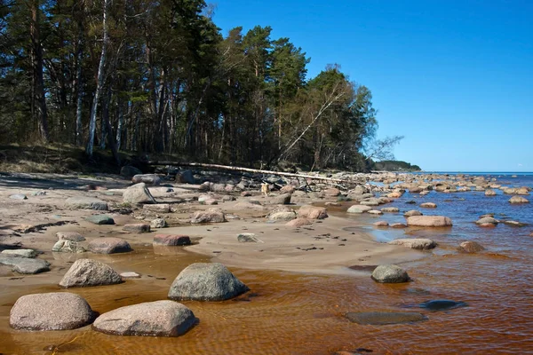 Solljus dag på havet med stora stenar på kusten — Stockfoto