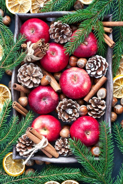 Manzanas rojas de invierno con frutos secos y ramas de abeto — Foto de Stock