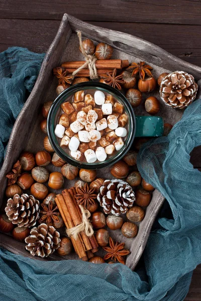 Kop Warme Chocolademelk Met Marshmallows Kerst Tijd Samenstelling — Stockfoto