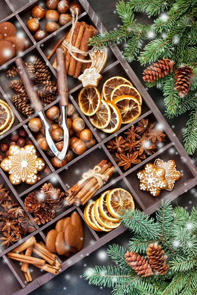 Biscoitos de gengibre caseiros de Natal, especiarias e nozes — Fotografia de Stock