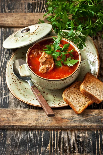 Sopa de borscht tradicional ucraniano y ruso con verduras —  Fotos de Stock