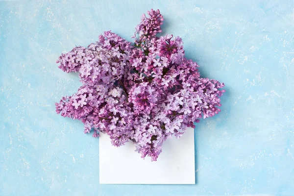 Větev Lilac v obálce na barevném pozadí — Stock fotografie