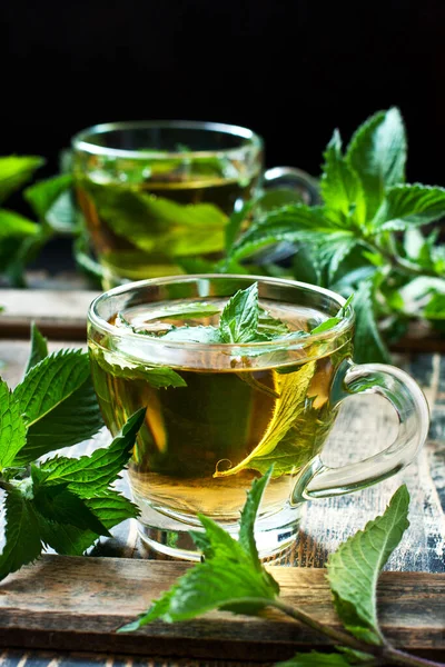 Šálek mátového čaje s bylinkami — Stock fotografie