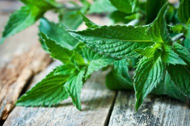 Rustik eski masada taze nane yaprakları
