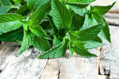 Rustik eski masada taze nane yaprakları