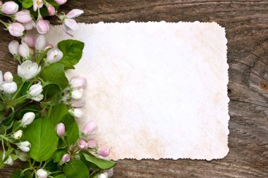 Bahar doğa elma çiçeği eski ahşap tahta üzerinde arka plan. Kopya alanı ile Üstten Görünüm