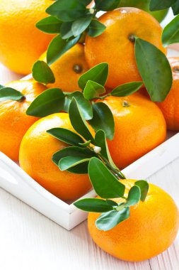 Olgun sulu mandalina, ahşap masa yapraklı turuncu mandalina, seçici odak ve sığ alan derinliği