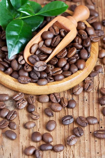 Fazole Pražily Kávu Listí Kávové Pozadí — Stock fotografie