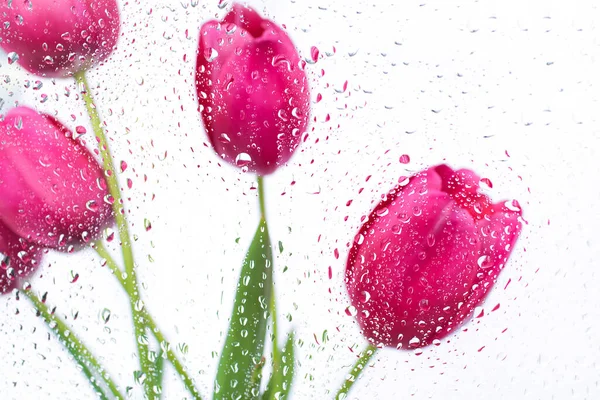 Gotas Água Fundo Flores Rosa Tulipas Fundo Desfocado Lugar Para — Fotografia de Stock