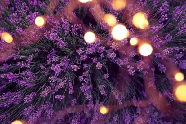 Fondo Lavanda Con Círculos Bokeh Dorados Copia Espacio Para Texto — Foto de Stock