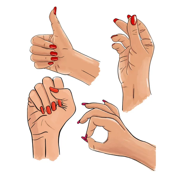 Διάνυσμα σετ γυναικείων χεριών και χειρονομιών. Γυναικεία συλλογή χεριών — Διανυσματικό Αρχείο