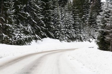 Tuz ve orman arka planlı kış yolu