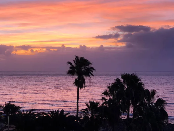 Okyanus kıyısındaki palmiye ağaçları inanılmaz bir ışık altında. Gün doğumu, gün batımı — Stok fotoğraf