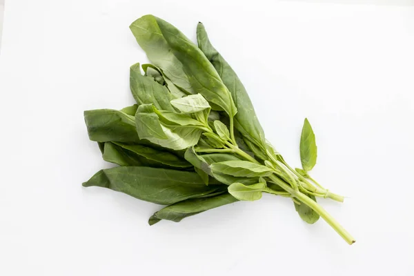 Een handvol natuurlijke en groene basilicum voor het koken — Stockfoto